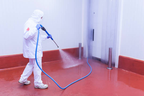 Best Pool Deck Cleaning  in Chaparral, NM