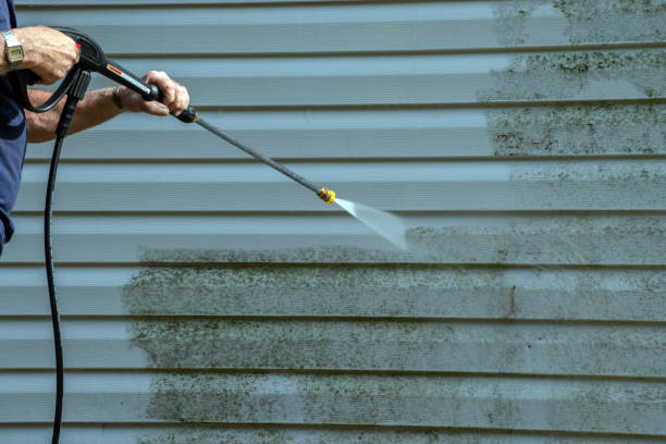 Best Roof Washing  in Chaparral, NM